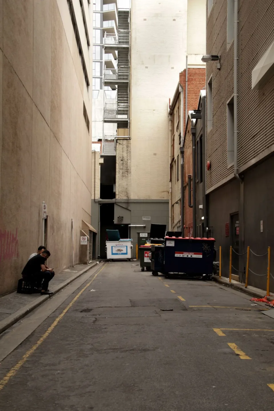 Commercial Dumpster — Alleyway